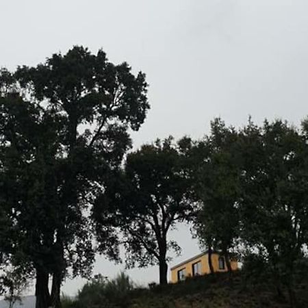 Refugio Do Sobreiro Villa Cabeceiras de Basto Buitenkant foto